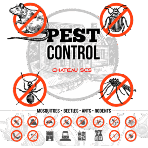 CHATEAU_SCS_INFOGRAFIC