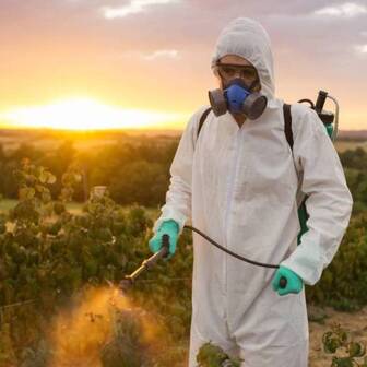 services-page-vector-pest-control