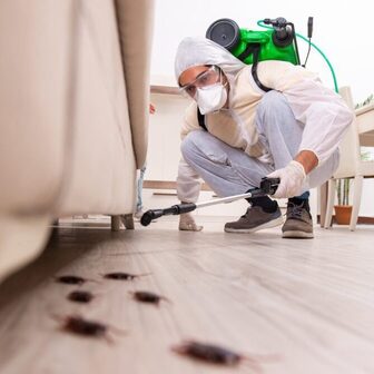 services-pest-exterminator